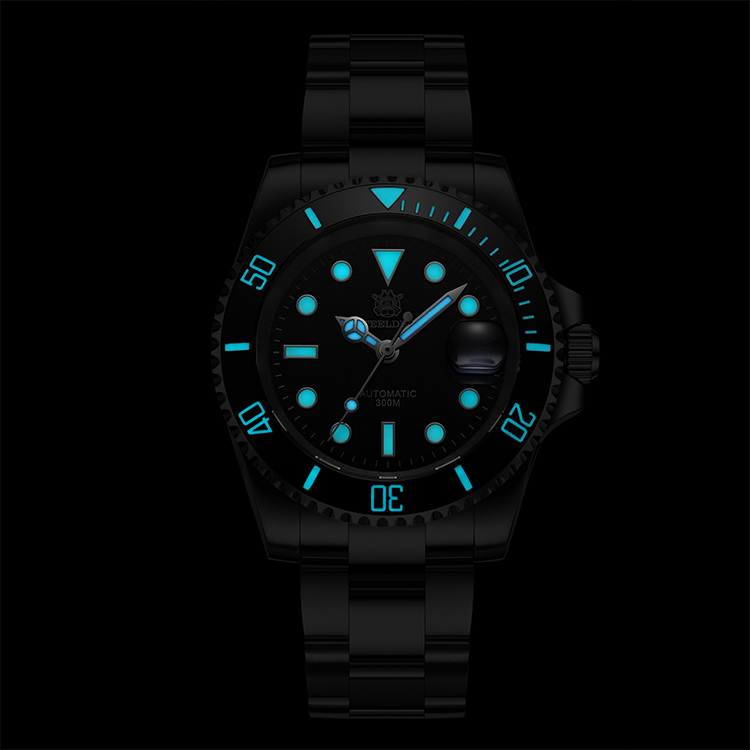 Steeldive 1953 Diver Lume