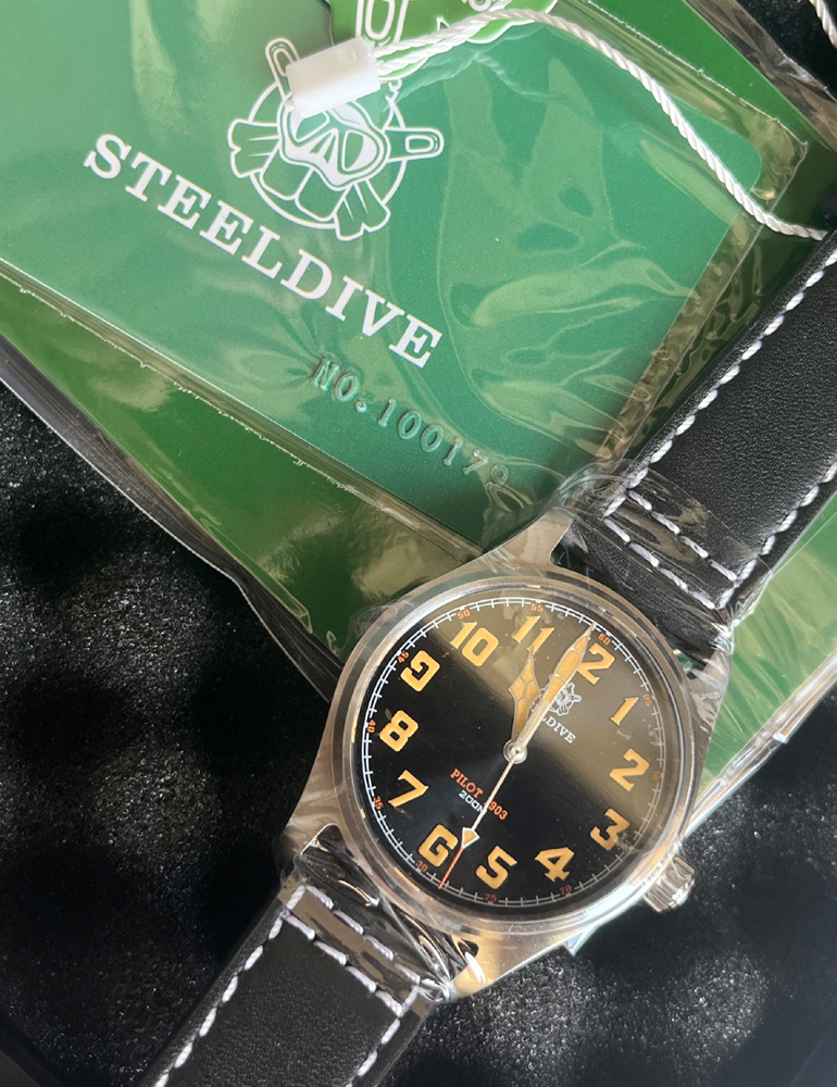 Steeldive Pilot Watch