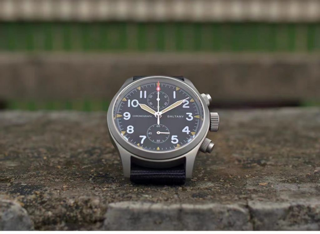 Baltany Stainless Steel Watch