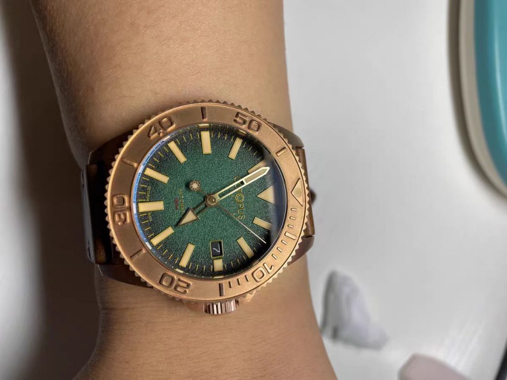 Octopus Bronze Bezel